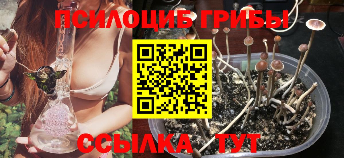 Псилоцибиновые грибы ЛСД  где купить наркоту  Гатчина  Вход с VPN 