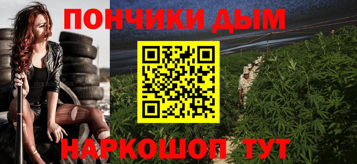 Гатчина  Бошки Шишки тримм  Канабис Amnesia  Вход с VPN 